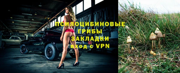 тгк Баксан
