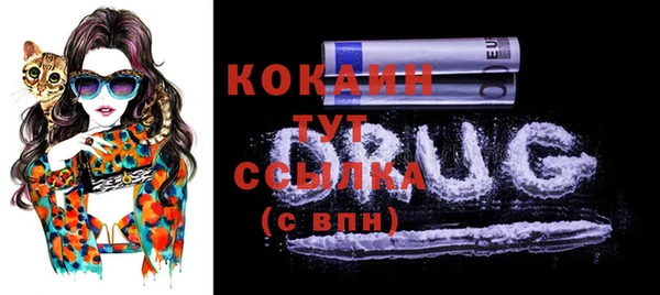 гашик Майский