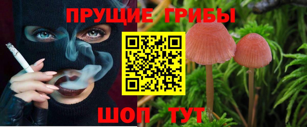 закладки  Вход с VPN  Дедовск  Галлюциногенные грибы Cubensis 